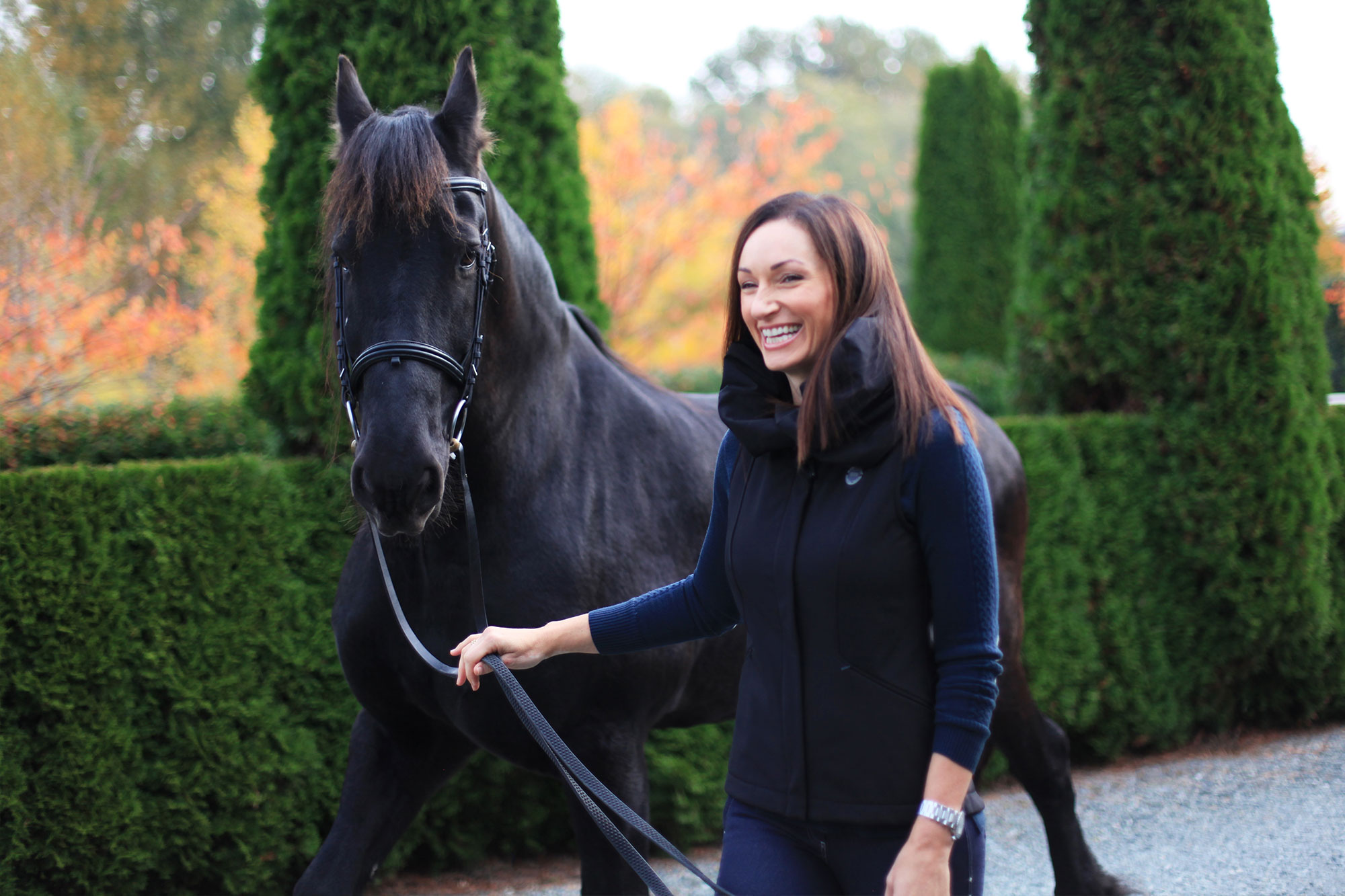 Are Horses the Key to Wellness?